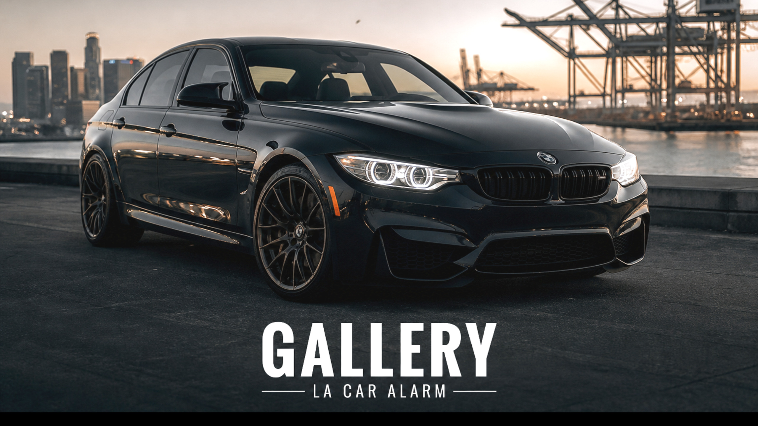 GALLERY — LA CAR ALARM