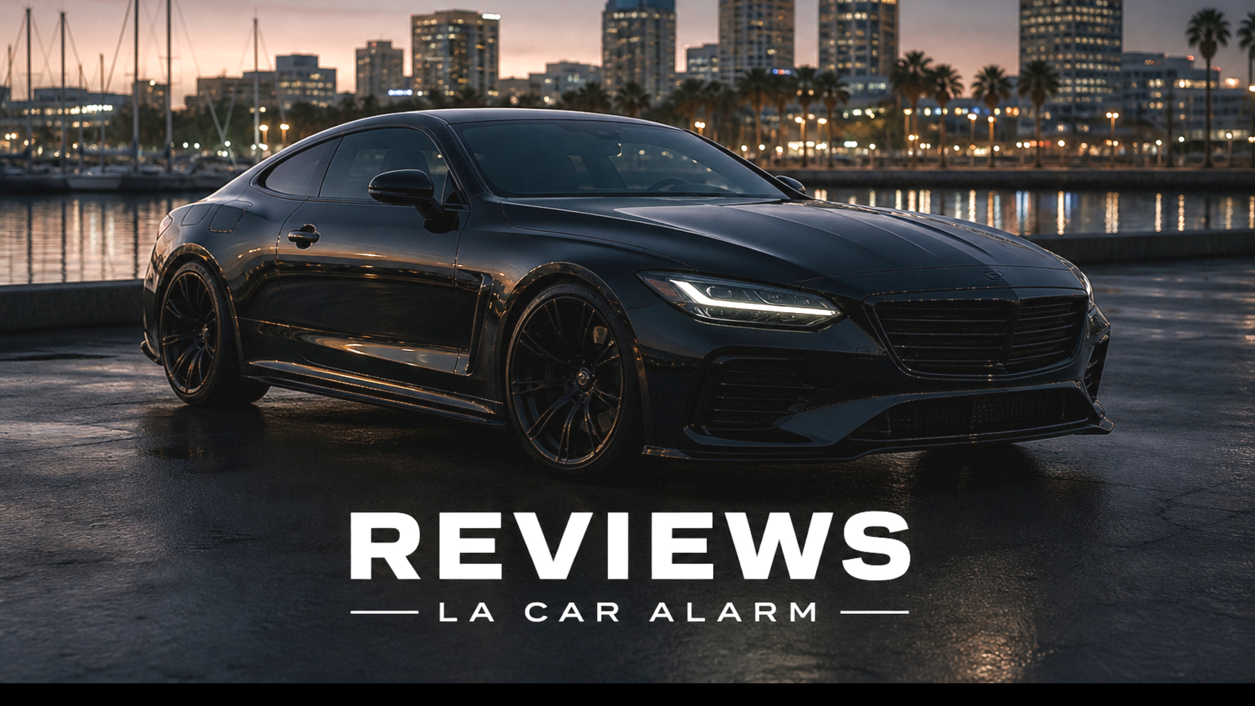 REVIEWS — LA CAR ALARM