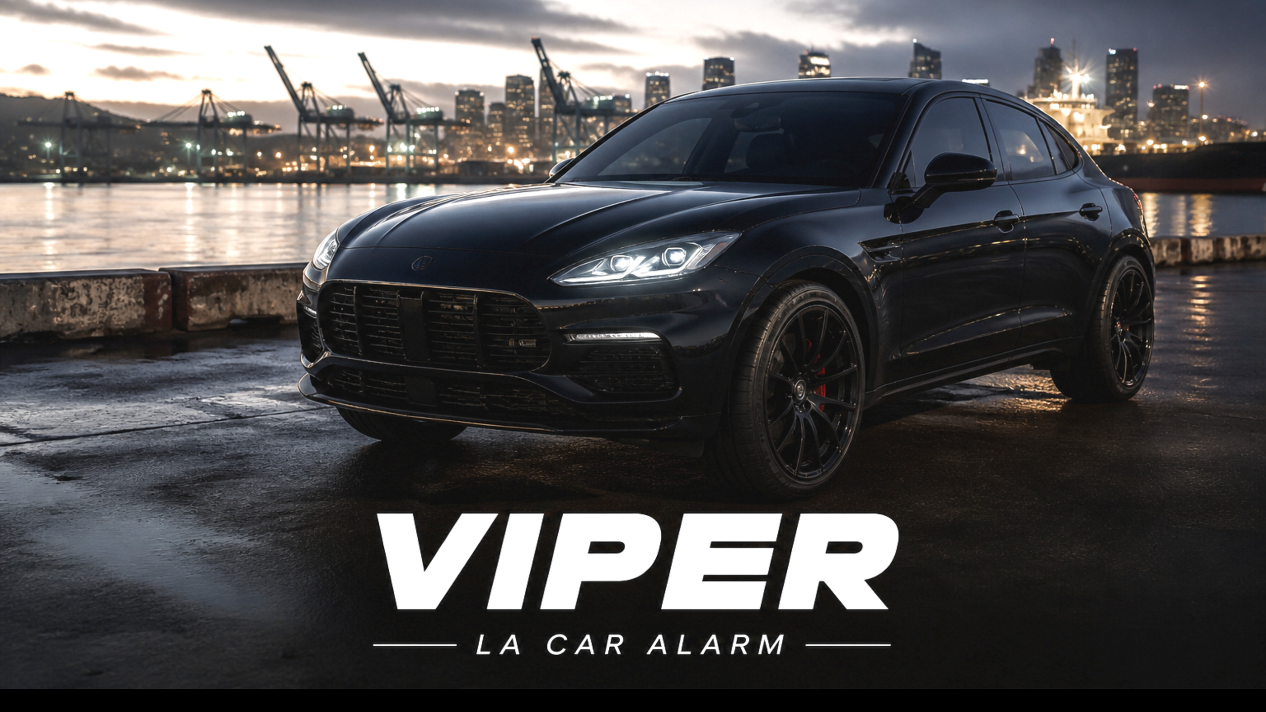 VIPER — LA CAR ALARM